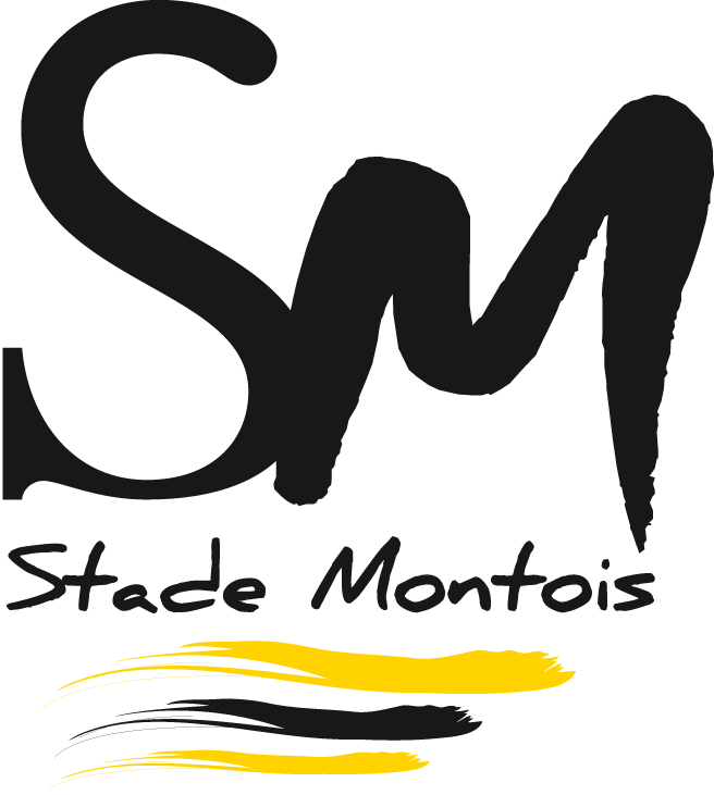 Logo Stade Montois